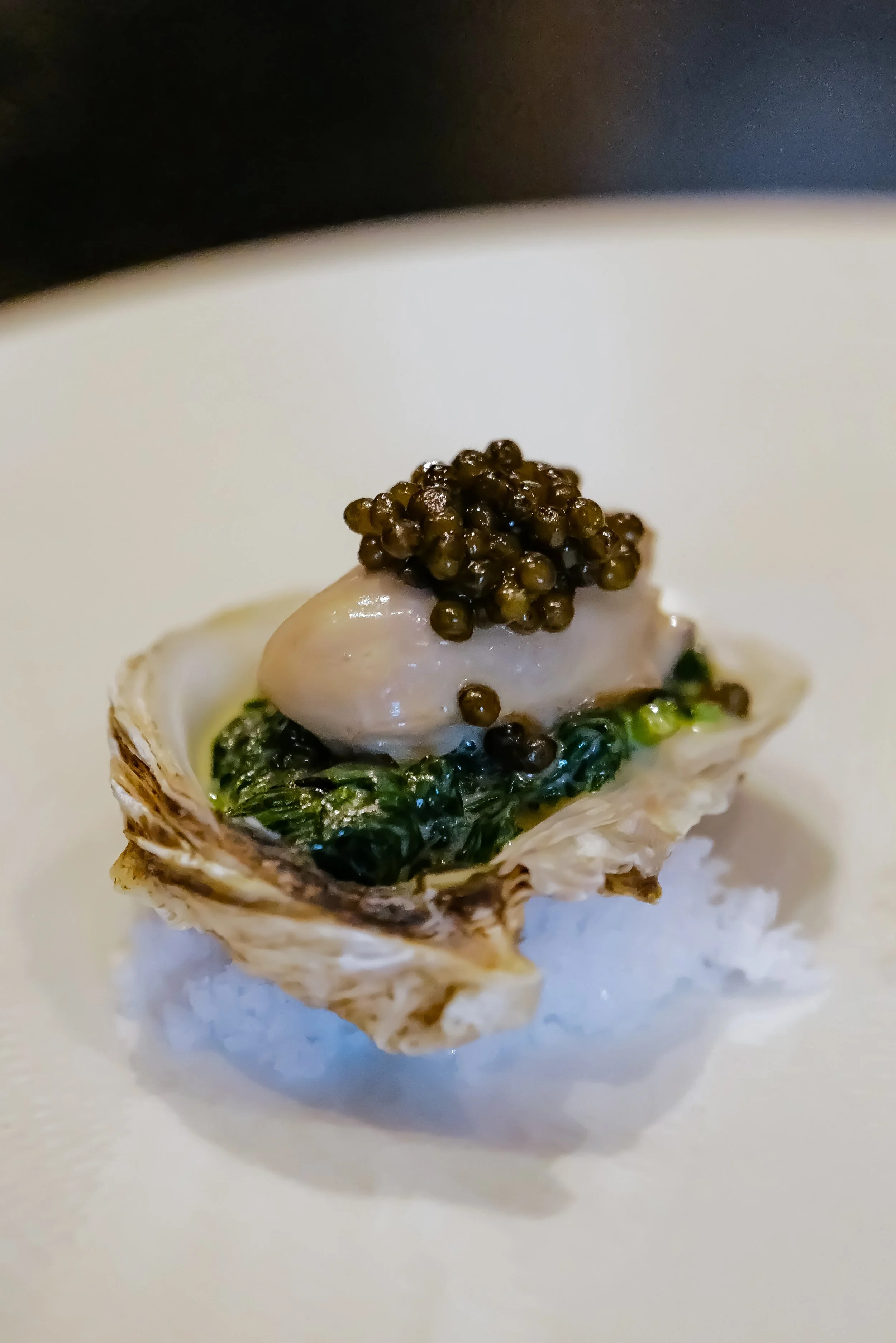 Enigma Yorkville