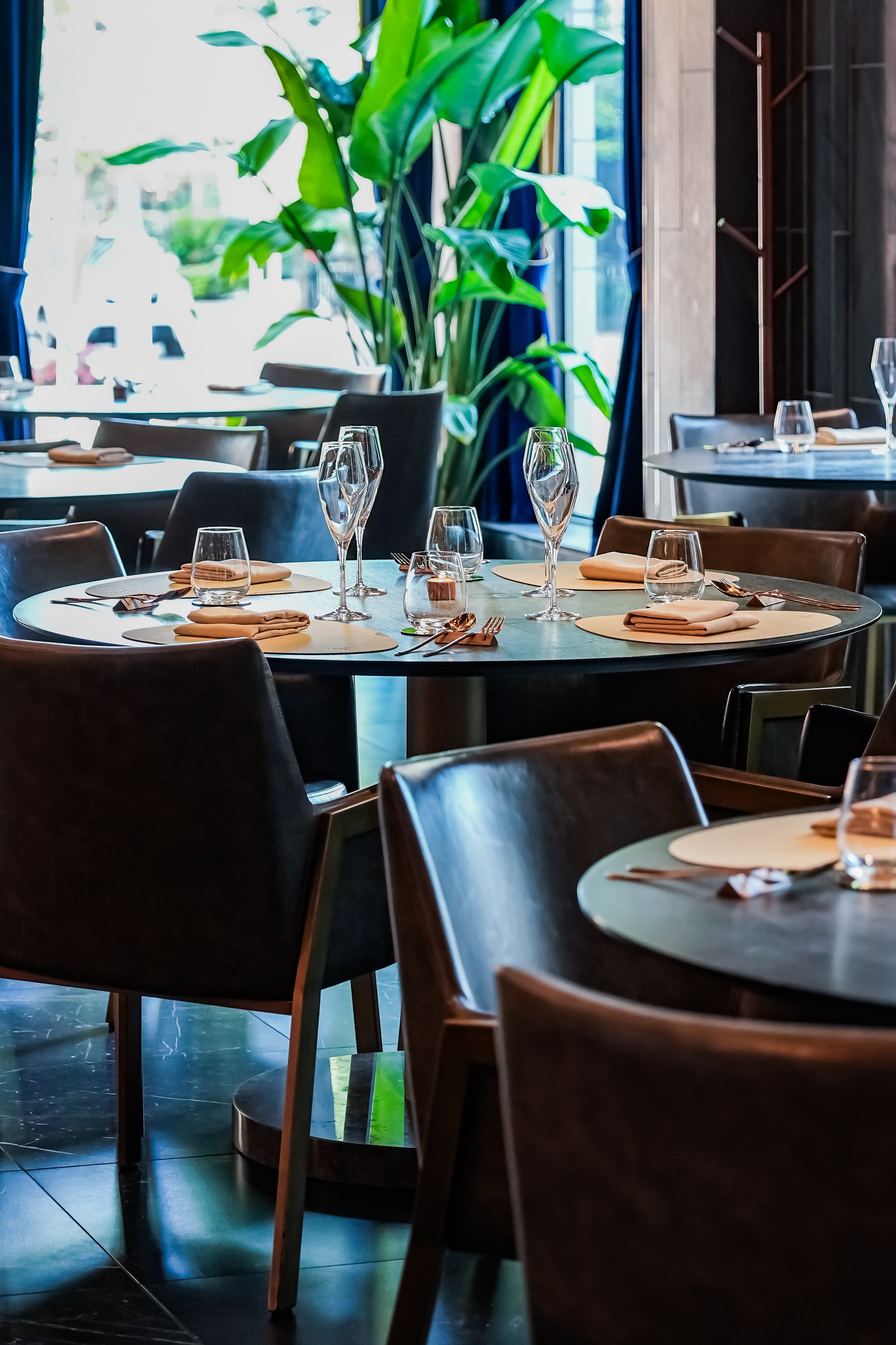Enigma Yorkville